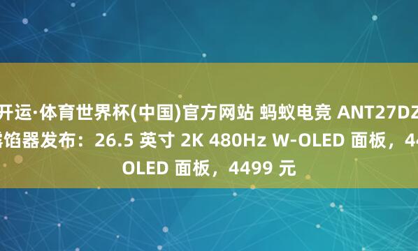 开运·体育世界杯(中国)官方网站 蚂蚁电竞 ANT27DZQES 露馅器发布:26.5 英寸 2K 480Hz W-OLED 面板,4499 元