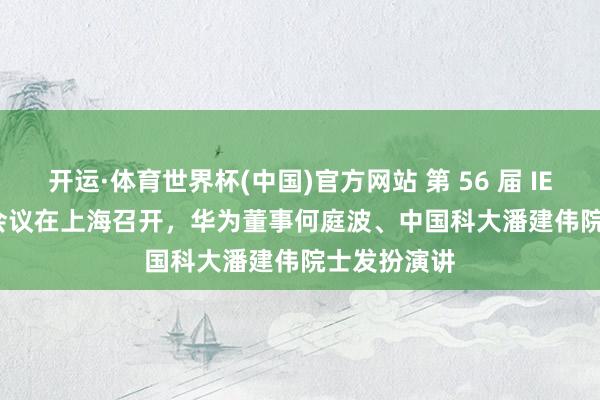 开运·体育世界杯(中国)官方网站 第 56 届 IEEE ISCAS 会议在上海召开,华为董事何庭波、中国科大潘建伟院士发扮演讲