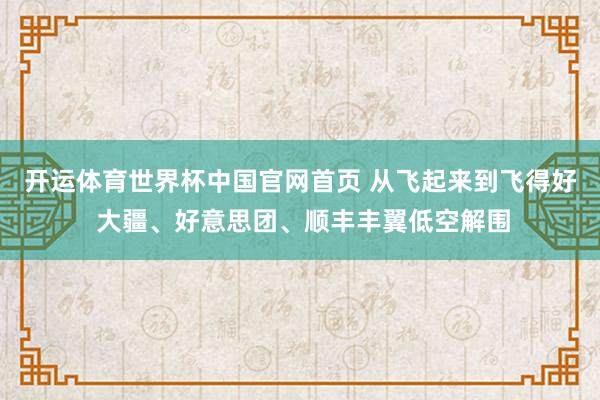 开运体育世界杯中国官网首页 从飞起来到飞得好 大疆、好意思团、顺丰丰翼低空解围