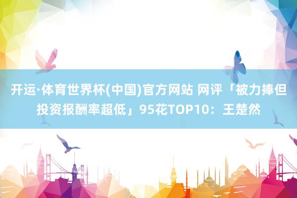 开运·体育世界杯(中国)官方网站 网评「被力捧但投资报酬率超低」95花TOP10:王楚然