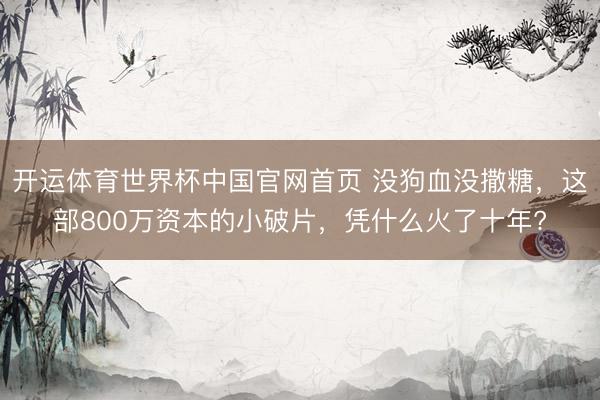 开运体育世界杯中国官网首页 没狗血没撒糖,这部800万资本的小破片,凭什么火了十年?