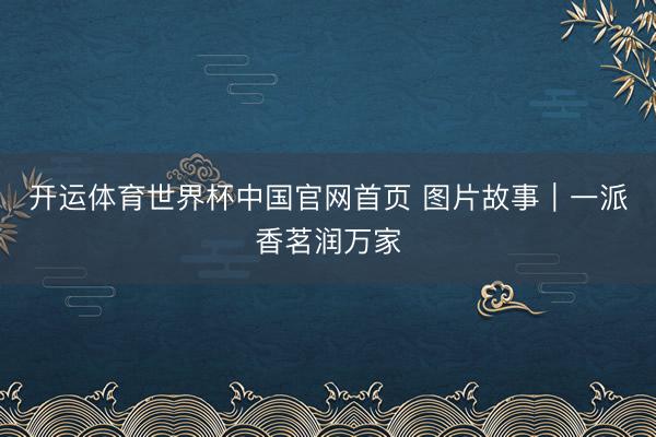 开运体育世界杯中国官网首页 图片故事|一派香茗润万家
